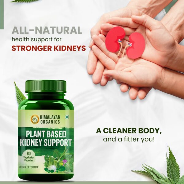 Himalayan Organics Plant-Based Kidney Support